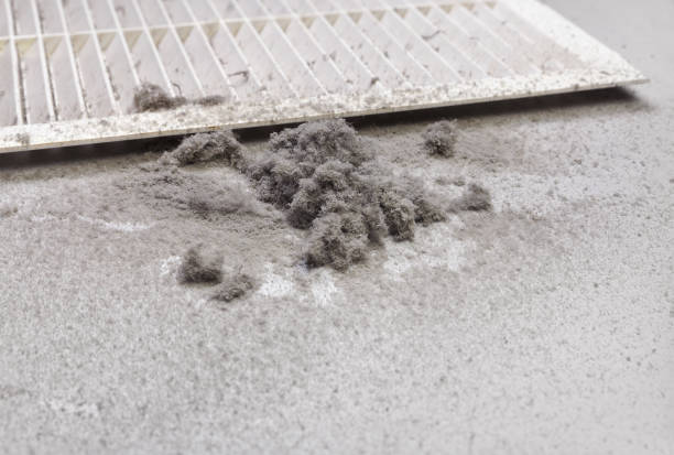 Best Air Duct Cleaning Near Me  in Sullivan, IL