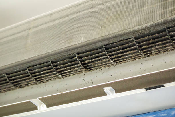 Best Affordable Air Duct Cleaning  in Sullivan, IL